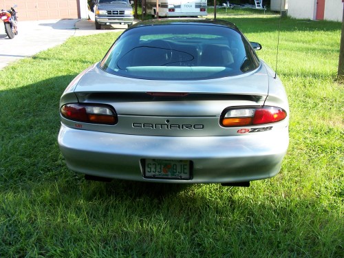 Brent's Vinyl Incerts, Glow White In The Dark !