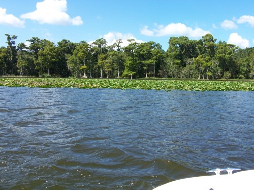 Going Through The Dead River.