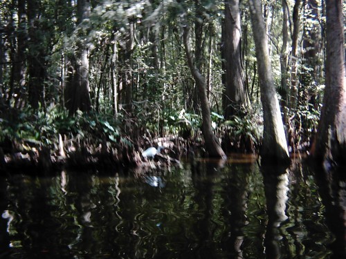 More Of The Canal.