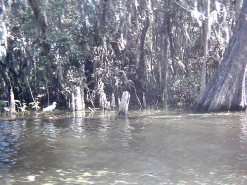The Canals Here Are Just Too Cool!