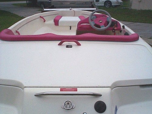 Engine Cover and Storage With Ski Ring.